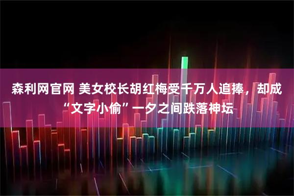 森利网官网 美女校长胡红梅受千万人追捧，却成“文字小偷”一夕之间跌落神坛