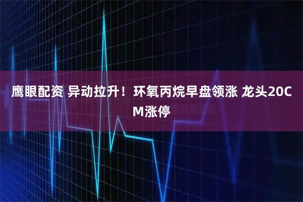 鹰眼配资 异动拉升！环氧丙烷早盘领涨 龙头20CM涨停